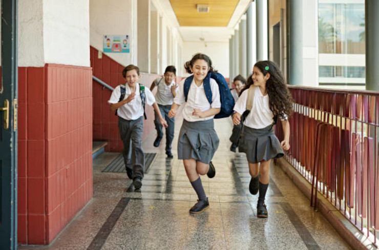 Centros educativos - Institutos - Universidad